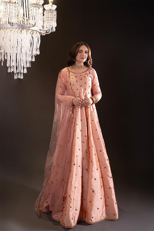 Noor-e-Gul (Red) main image 0